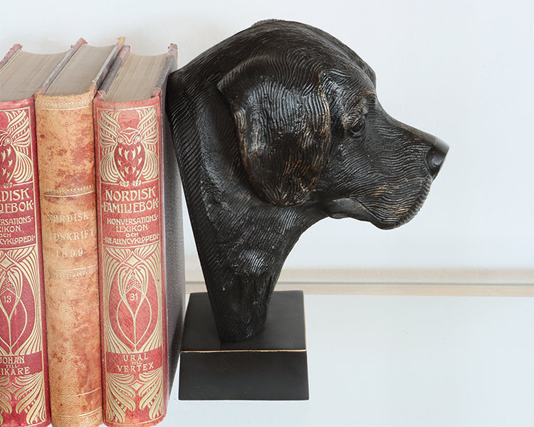 Bronze Dog Head Sculpture - Cleared Decor