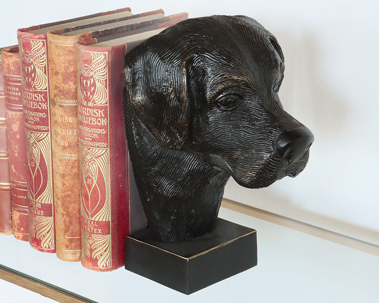 Bronze Dog Head Sculpture - Cleared Decor