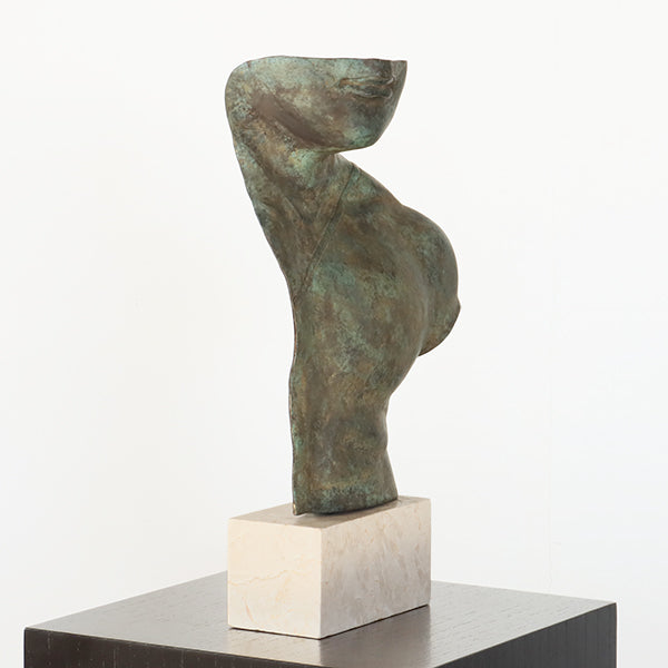 Torso Artem - Cleared