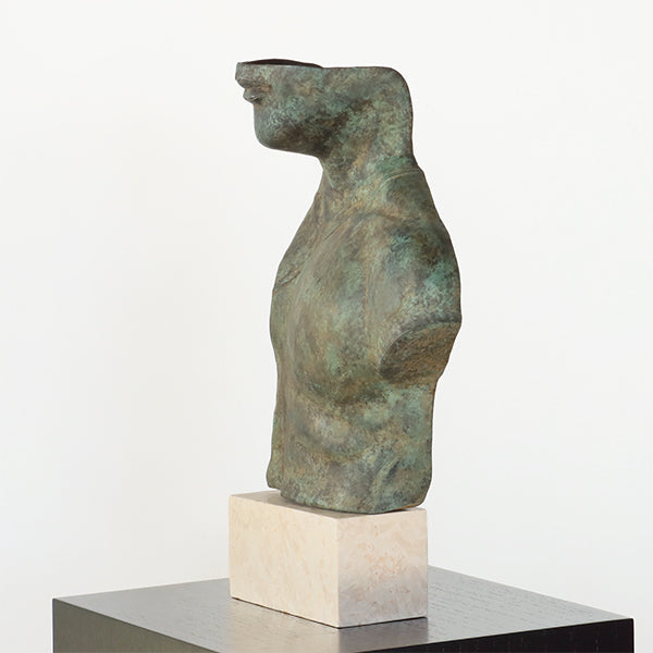 Torso Artem - Cleared