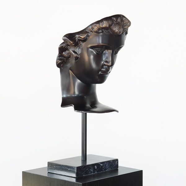 Head of Davidus - Cleared