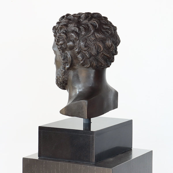 Head of Alexander the Great - Cleared