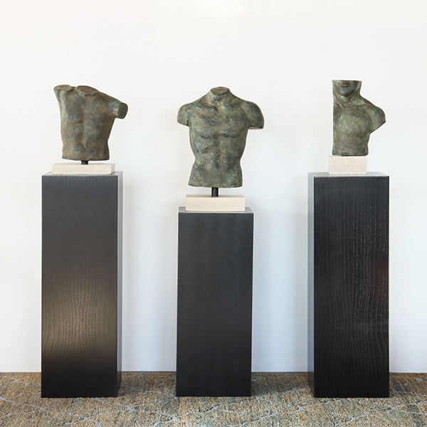 Torso Agathon - Cleared