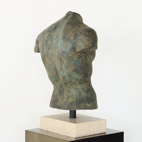 Torso Ariston - Cleared
