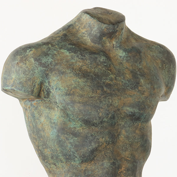 Torso Ariston - Cleared