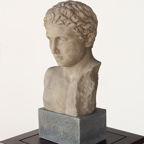 Bust of a Regal Roman - Cleared