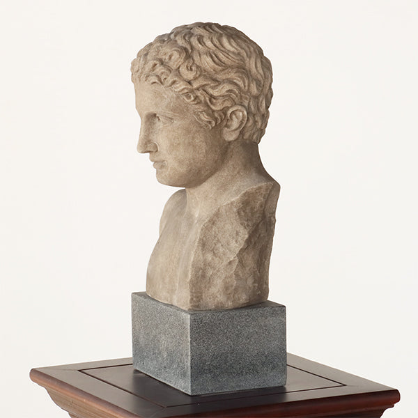 Bust of a Regal Roman - Cleared