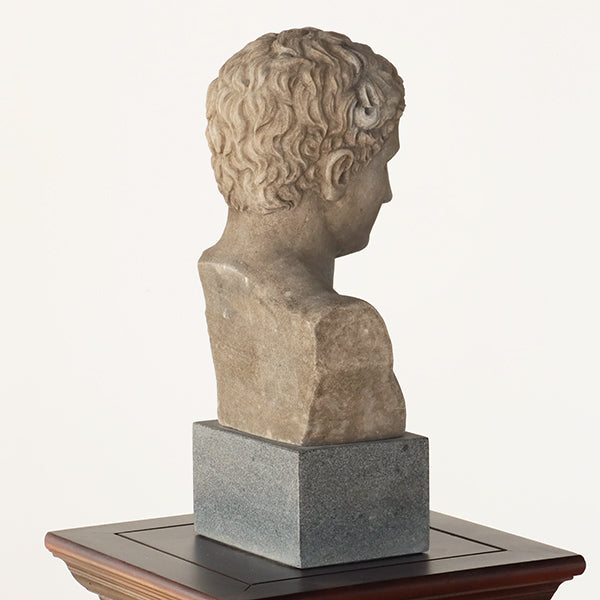 Bust of a Regal Roman - Cleared