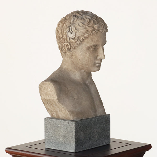 Bust of a Regal Roman - Cleared