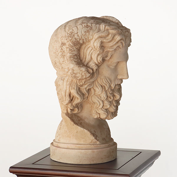 Bust of Zeus - Cleared