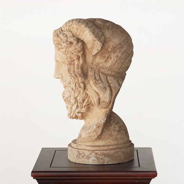 Bust of Zeus - Cleared