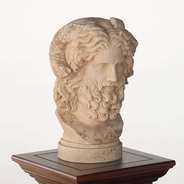 Bust of Zeus - Cleared