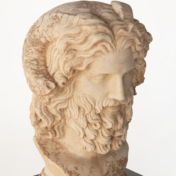 Bust of Zeus - Cleared