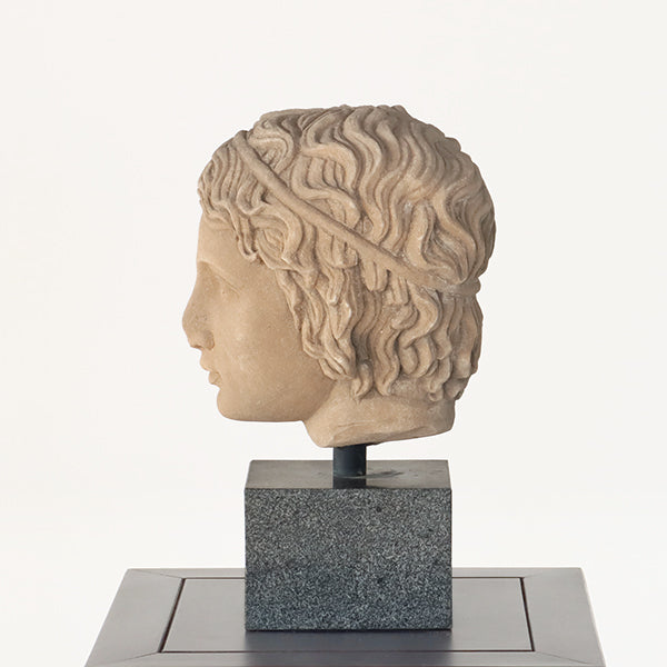 Bust of a Roman Youth - Cleared