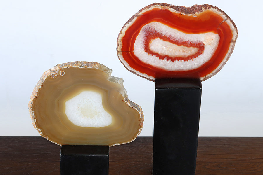 Fergie Sculptures, Set of 2 - Cleared Décor