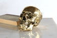 FIG298 Brass Skull 
