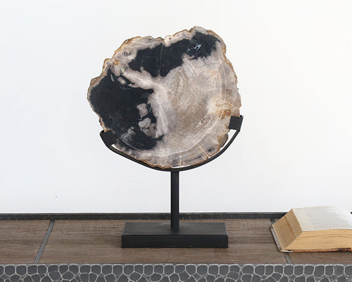 FIG343 Petrified Wood Sculpture With Stand