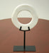 fig90 Large Open Circle Marble Iron Sculpture 7