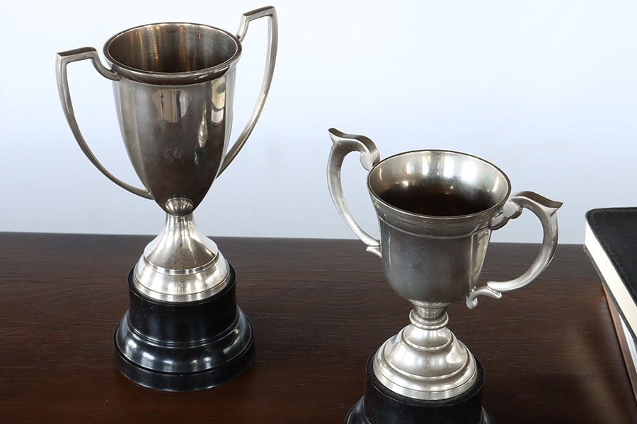 Set of 2 Trophies - Cleared Decor