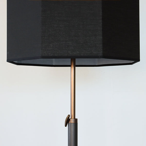 Axis Floor Lamp w/ Custom Black Shade