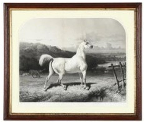 Antique French Horse Engraving 18th c. La Paix 26.5W x 31H