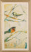 LAND494  - Tweeting V 23.5W x 40H