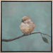 LAND501 - Baby Bird I 21.5W x 21.5H