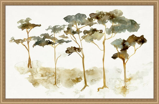 LAND614 Cypress Impressions
