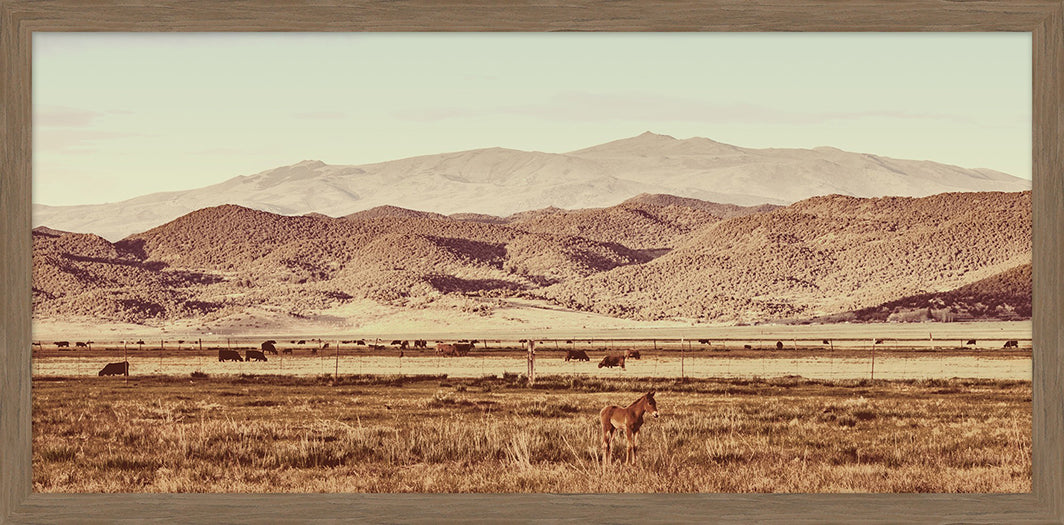 Turner Ranch 2 38W X 19H
