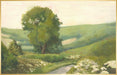 LAND788 - Path Home