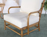 LC313 - Cushioned Rattan Lounge Chair 
