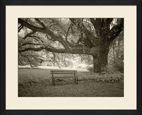 A Quiet Place I 22W x 18H