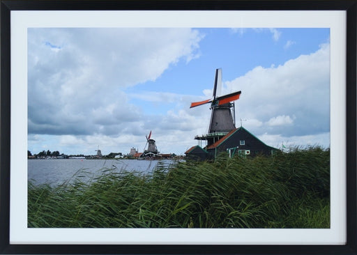 PH338 Windmills 28W x 20H