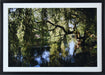 PH339 Bayou 28W x 20H