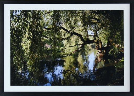 PH339 Bayou 28W x 20H