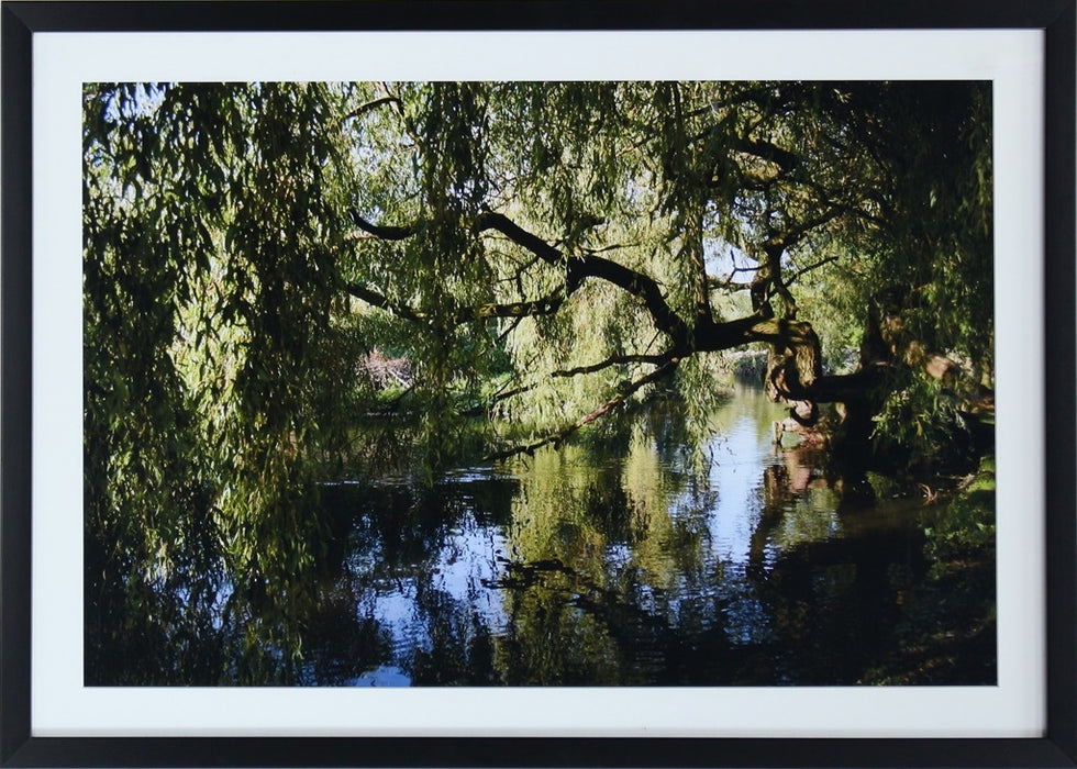 PH339 Bayou 28W x 20H