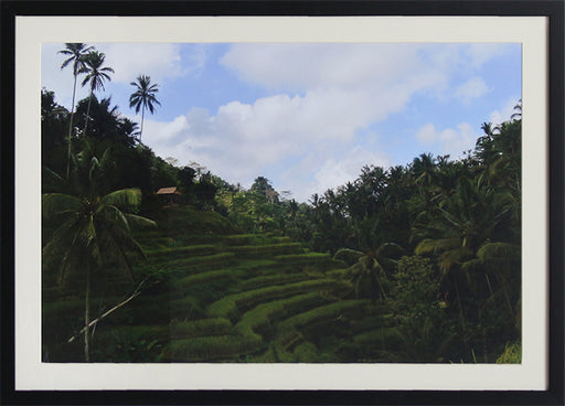 PH370 Rice Terraces 28W x 20H