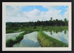 PH372 Terrace Reflection 28W x 20H