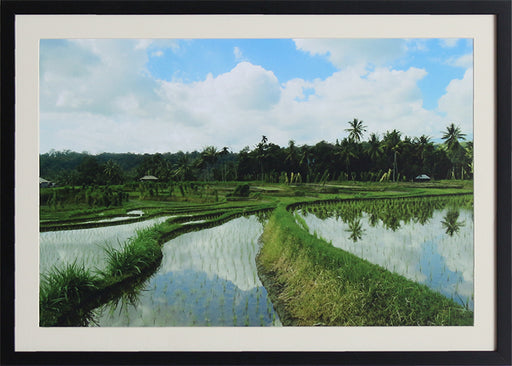 PH372 Terrace Reflection 28W x 20H