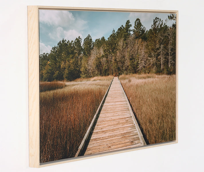 Bottomlands 36W X 24H