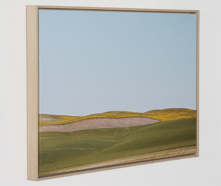 Yellow Land 36W X 24H