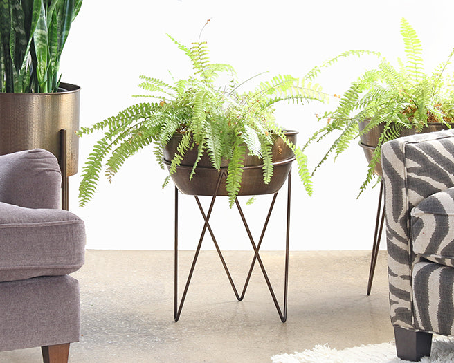 PS10 Luna Planter in Weathered Brass