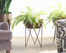 PS10 Luna Planter in Weathered Brass