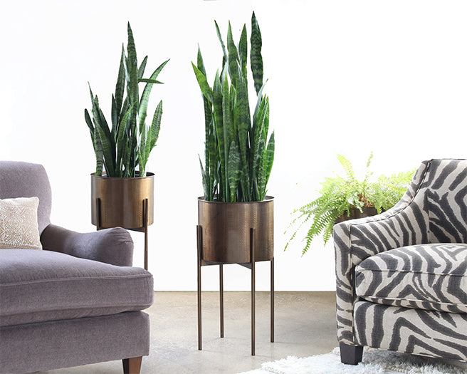 PS11 Jed Planter in Weathered Brass