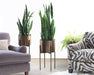 PS11 Jed Planter in Weathered Brass