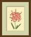 LaFleur Rouge Series