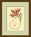 LaFleur Rouge Series