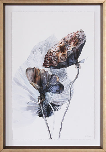 STILL1136 - Lotus 16W X 23H 