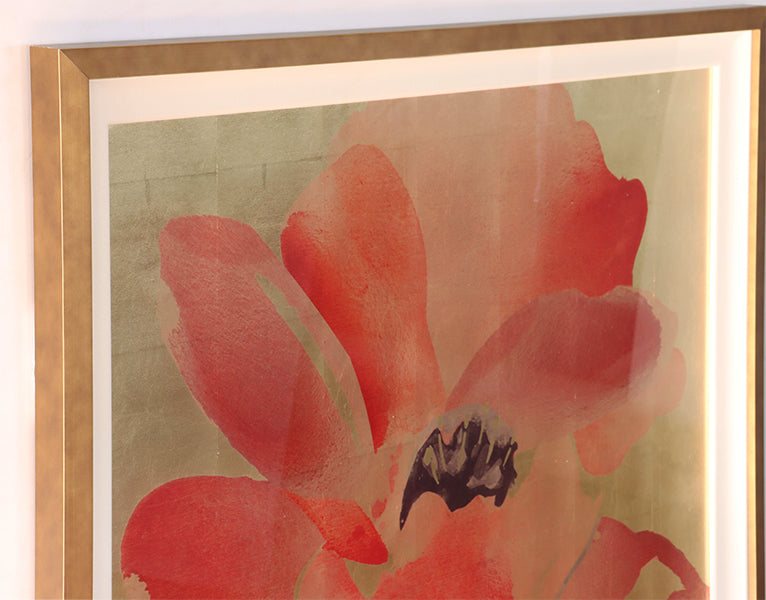 Himalayan Poppy 2 41.25W x 41.25H