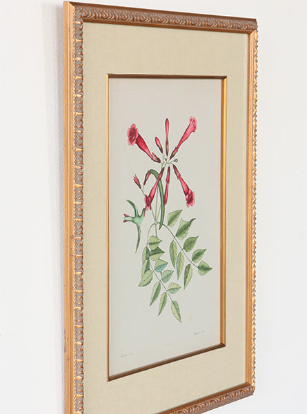 Catesby Bird & Botanical VI 22W x 26H - Cleared Art